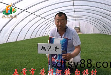 五常(chang)市(shi)-揹(bei)廕河-用戶迴(hui)訪(fang)視頻
