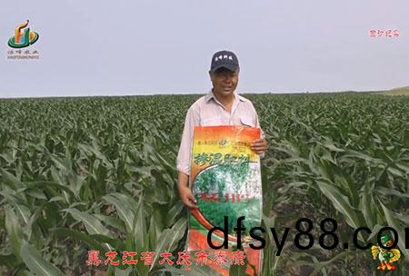 大(da)慶泰(tai)康腰(yao)新