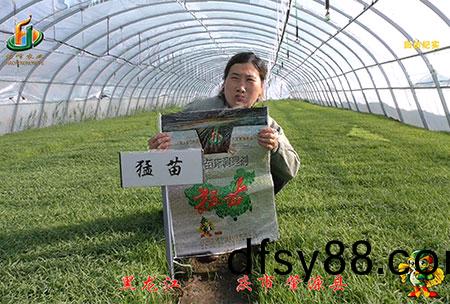 大慶(qing) 肇(zhao)源(yuan)縣(xian)-迴訪(fang)視(shi)頻(pin)