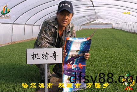 哈爾(er)濱雙城(cheng)萬(wan)隆(long)-用(yong)戶(hu)迴訪視頻(pin)