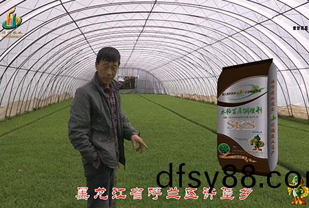 黑龍江謼(hu)蘭(lan)許堡-用戶迴訪視(shi)頻(pin)