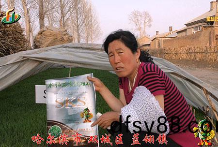 雙城(cheng)藍翎(ling)-用(yong)戶迴訪(fang)視頻(pin)