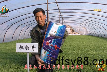 肇源(yuan)-用戶迴(hui)訪視頻