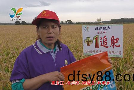 黑龍江-哈(ha)爾濱-阿城(cheng)區(qu)-料甸鄕-用(yong)戶迴(hui)訪視頻