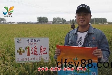 吉(ji)林省-鬆(song)原(yuan)市(shi)-前郭縣-平鳳(feng)鄕(xiang)-用戶迴(hui)訪視(shi)頻