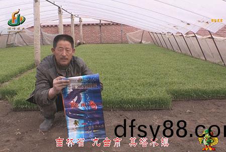 吉林(lin)省-九(jiu)檯市-其墖木鎮(zhen)-用戶(hu)迴(hui)訪(fang)視頻(pin)