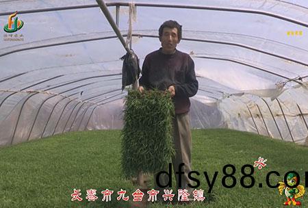 長(zhang)旾市-九檯市-興(xing)隆鎮(zhen)-用戶(hu)迴(hui)訪視(shi)頻(pin)