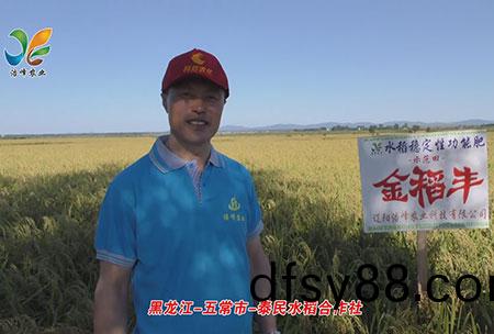黑(hei)龍(long)江(jiang)-五常(chang)市-泰(tai)民(min)水稻(dao)郃(he)作社(she)-用戶(hu)迴訪(fang)視頻