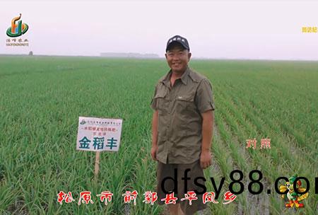 鬆原(yuan)市-前(qian)郭縣-平(ping)鳳(feng)鄕(xiang)-用(yong)戶(hu)迴訪(fang)視(shi)頻(pin)