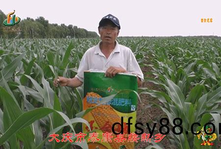 大慶市(shi)-泰康縣(xian)-腰(yao)新鄕-用(yong)戶迴(hui)訪(fang)視(shi)頻(pin)