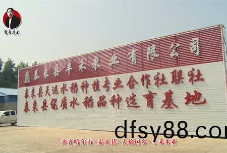 泰(tai)來縣-大(da)榆樹(shu)鄕-豐禾米業(ye)