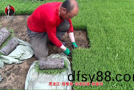 綏稜-四海店(dian)鎮(zhen)