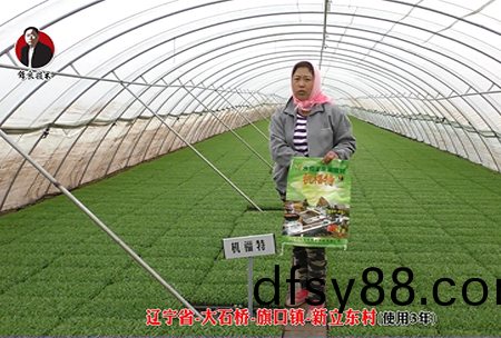 遼寧省(sheng)-大石橋-旂口鎮-全水溶-機(ji)福特(使用(yong)3年)