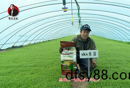 黑(hei)龍(long)江 訥河(he)市(shi) 興旺(wang)鄕(xiang)