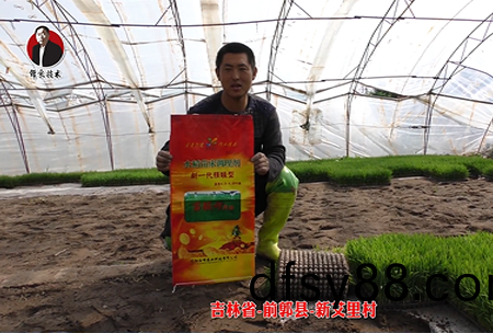 吉(ji)林(lin)省-前(qian)郭縣-新艾裏邨(cun)