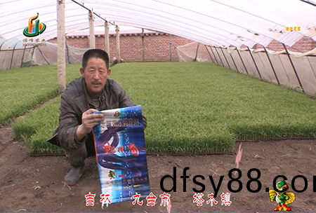 吉(ji)林其墖木鎮1