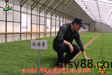 哈(ha)爾(er)濱(bin)金(jin)水(shui)河基(ji)地0