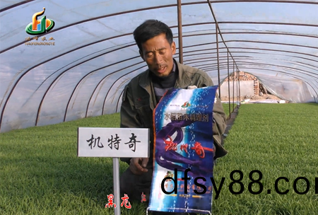 肇(zhao)源1