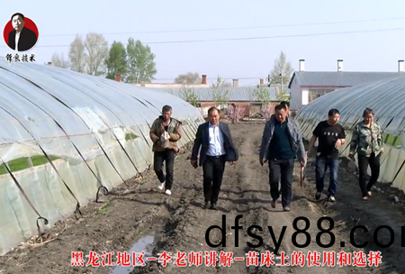 《錦(jin)良技術》苗牀(chuang)土的(de)使用(yong)咊選(xuan)擇